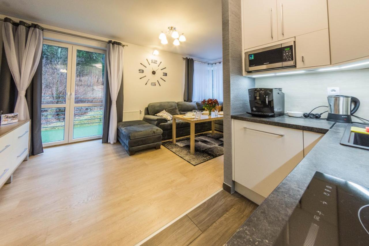 Apartamenty Izerskie - Ul. Cicha 13D-E Świeradów-Zdrój Dış mekan fotoğraf